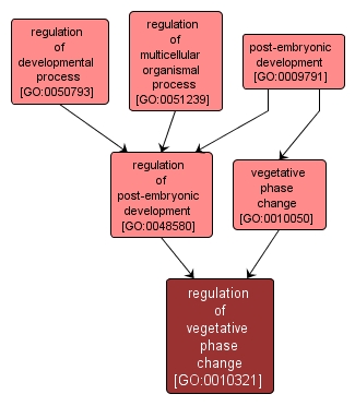 GO:0010321 - regulation of vegetative phase change (interactive image map)