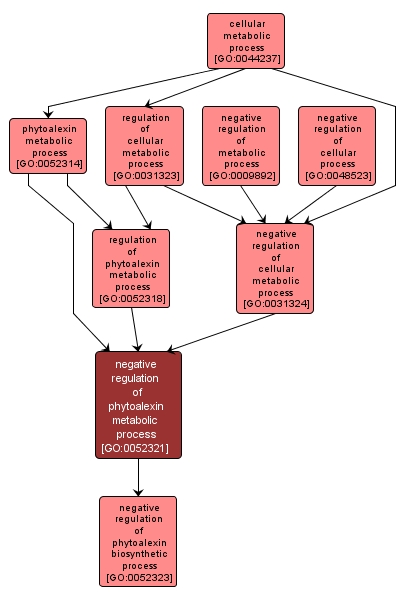 GO:0052321 - negative regulation of phytoalexin metabolic process (interactive image map)