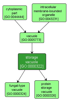 GO:0000322 - storage vacuole (interactive image map)