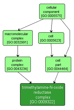 GO:0009322 - trimethylamine-N-oxide reductase complex (interactive image map)