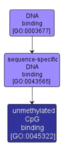 GO:0045322 - unmethylated CpG binding (interactive image map)