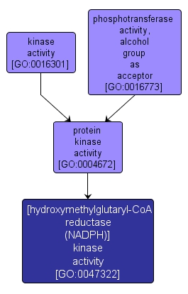 GO:0047322 - [hydroxymethylglutaryl-CoA reductase (NADPH)] kinase activity (interactive image map)