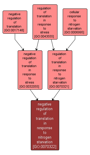 GO:0070322 - negative regulation of translation in response to nitrogen starvation (interactive image map)