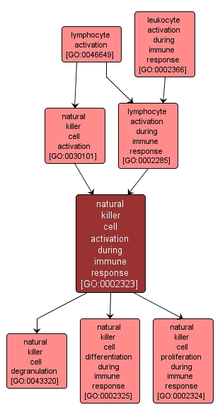 GO:0002323 - natural killer cell activation during immune response (interactive image map)