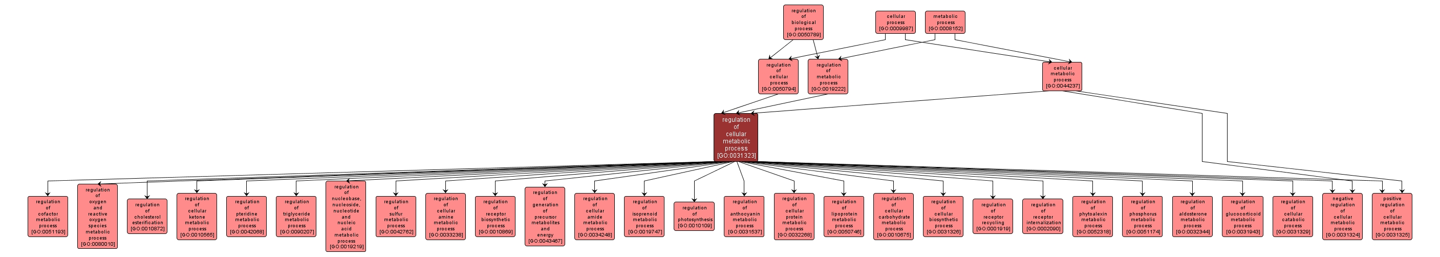 GO:0031323 - regulation of cellular metabolic process (interactive image map)