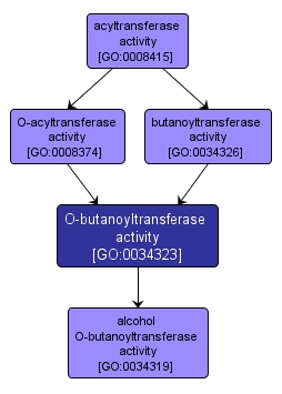 GO:0034323 - O-butanoyltransferase activity (interactive image map)