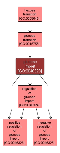 GO:0046323 - glucose import (interactive image map)