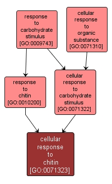 GO:0071323 - cellular response to chitin (interactive image map)