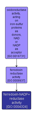 GO:0004324 - ferredoxin-NADP+ reductase activity (interactive image map)