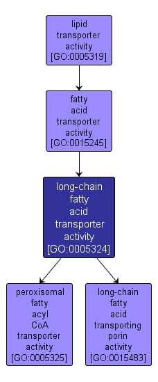 GO:0005324 - long-chain fatty acid transporter activity (interactive image map)