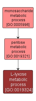 GO:0019324 - L-lyxose metabolic process (interactive image map)
