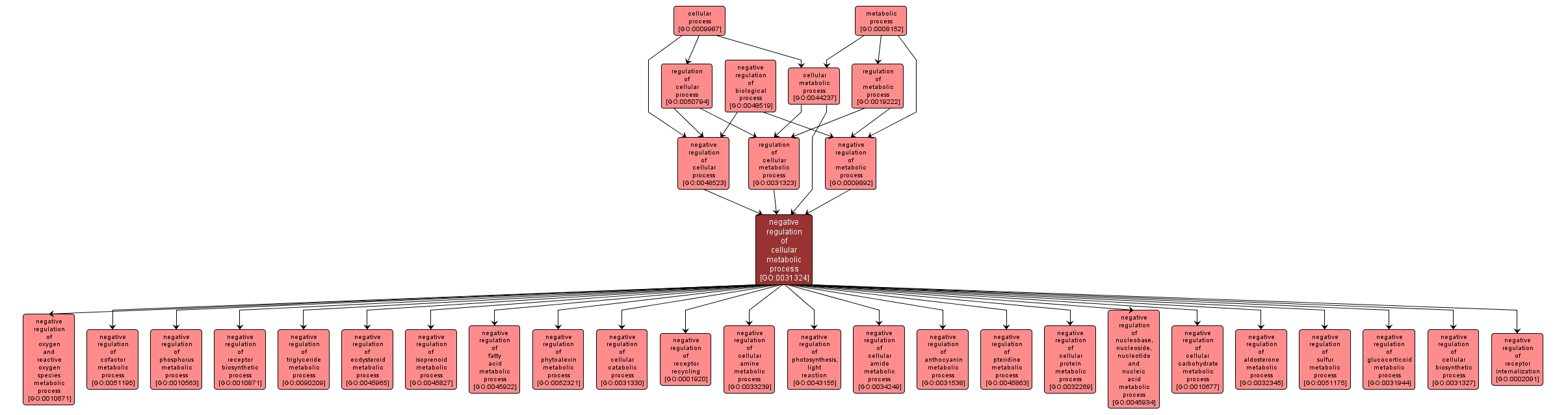 GO:0031324 - negative regulation of cellular metabolic process (interactive image map)