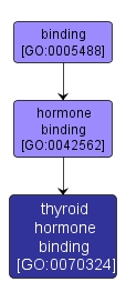 GO:0070324 - thyroid hormone binding (interactive image map)