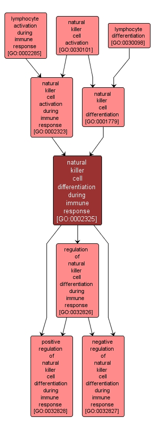 GO:0002325 - natural killer cell differentiation during immune response (interactive image map)