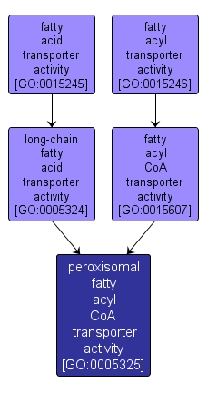 GO:0005325 - peroxisomal fatty acyl CoA transporter activity (interactive image map)