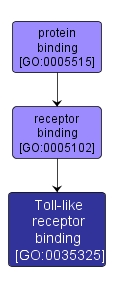 GO:0035325 - Toll-like receptor binding (interactive image map)