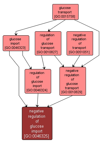 GO:0046325 - negative regulation of glucose import (interactive image map)