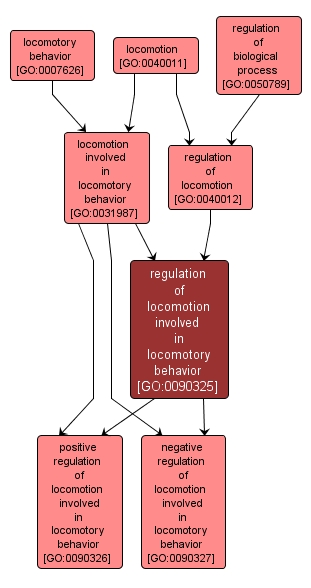 GO:0090325 - regulation of locomotion involved in locomotory behavior (interactive image map)