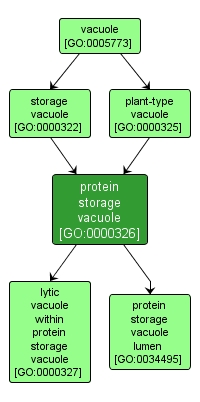 GO:0000326 - protein storage vacuole (interactive image map)