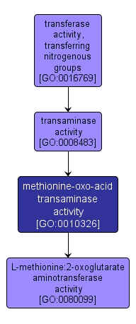 GO:0010326 - methionine-oxo-acid transaminase activity (interactive image map)