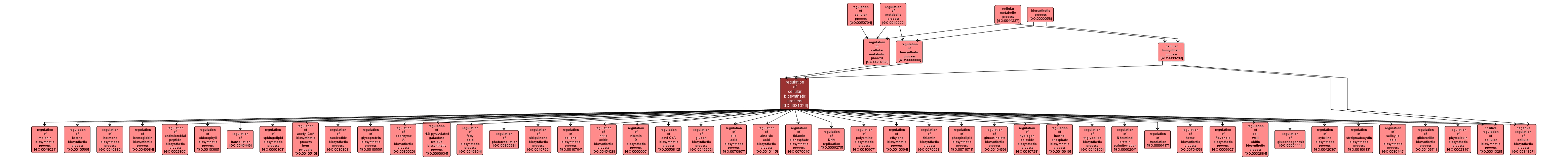 GO:0031326 - regulation of cellular biosynthetic process (interactive image map)