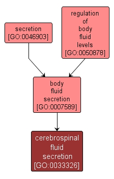 GO:0033326 - cerebrospinal fluid secretion (interactive image map)