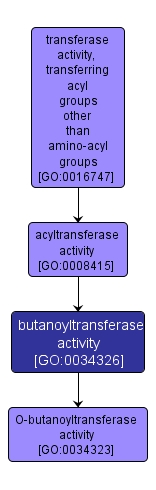 GO:0034326 - butanoyltransferase activity (interactive image map)