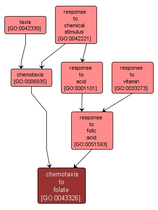 GO:0043326 - chemotaxis to folate (interactive image map)