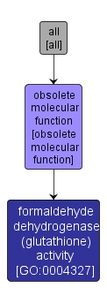 GO:0004327 - formaldehyde dehydrogenase (glutathione) activity (interactive image map)