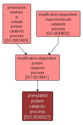 GO:0030327 - prenylated protein catabolic process (interactive image map)