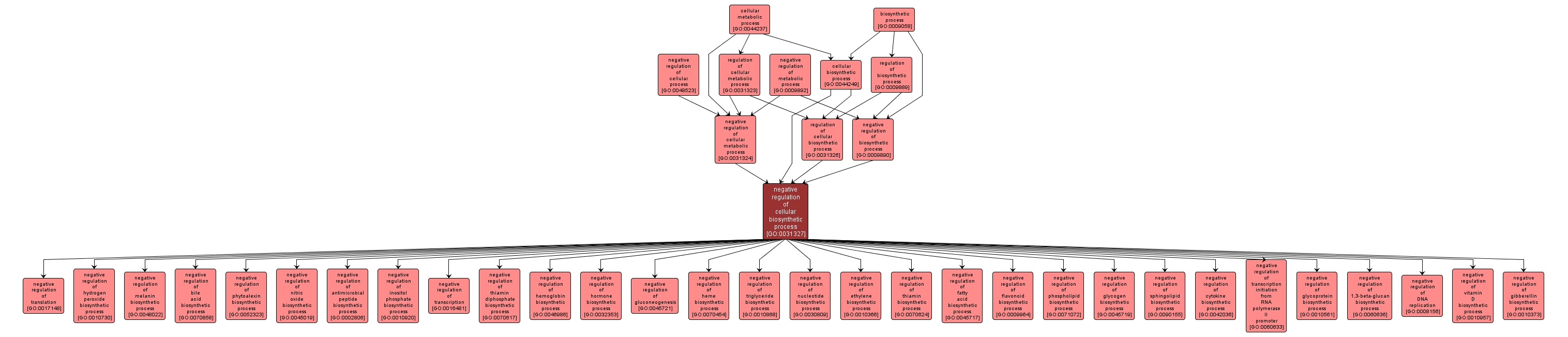 GO:0031327 - negative regulation of cellular biosynthetic process (interactive image map)