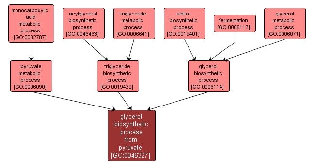GO:0046327 - glycerol biosynthetic process from pyruvate (interactive image map)