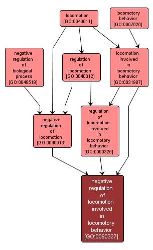 GO:0090327 - negative regulation of locomotion involved in locomotory behavior (interactive image map)