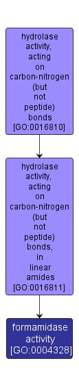 GO:0004328 - formamidase activity (interactive image map)