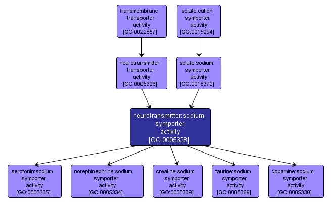 GO:0005328 - neurotransmitter:sodium symporter activity (interactive image map)