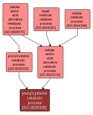 GO:0030328 - prenylcysteine catabolic process (interactive image map)