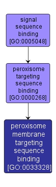 GO:0033328 - peroxisome membrane targeting sequence binding (interactive image map)