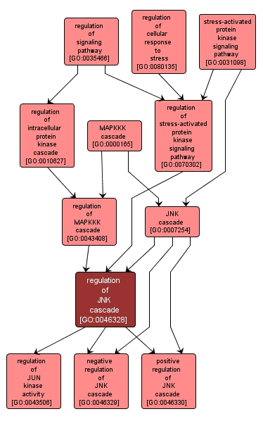 GO:0046328 - regulation of JNK cascade (interactive image map)