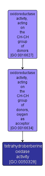 GO:0050328 - tetrahydroberberine oxidase activity (interactive image map)