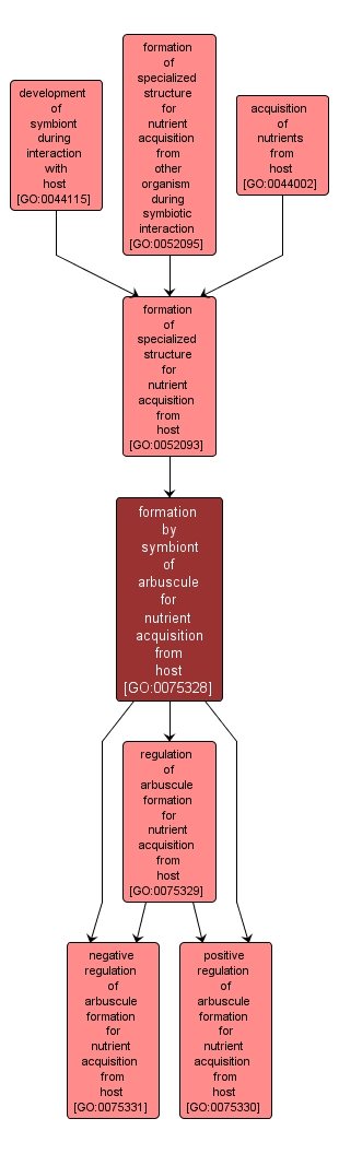 GO:0075328 - formation by symbiont of arbuscule for nutrient acquisition from host (interactive image map)