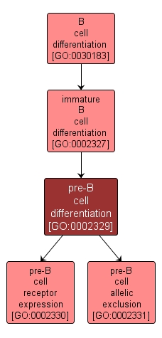 GO:0002329 - pre-B cell differentiation (interactive image map)