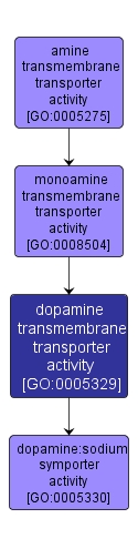 GO:0005329 - dopamine transmembrane transporter activity (interactive image map)