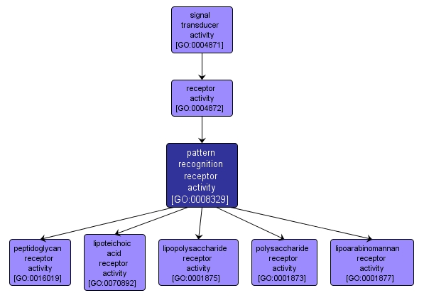 GO:0008329 - pattern recognition receptor activity (interactive image map)