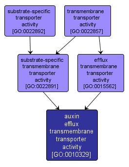 GO:0010329 - auxin efflux transmembrane transporter activity (interactive image map)