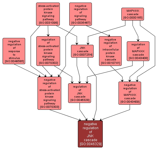 GO:0046329 - negative regulation of JNK cascade (interactive image map)