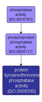 GO:0008330 - protein tyrosine/threonine phosphatase activity (interactive image map)