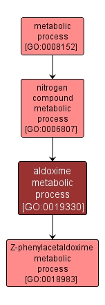 GO:0019330 - aldoxime metabolic process (interactive image map)
