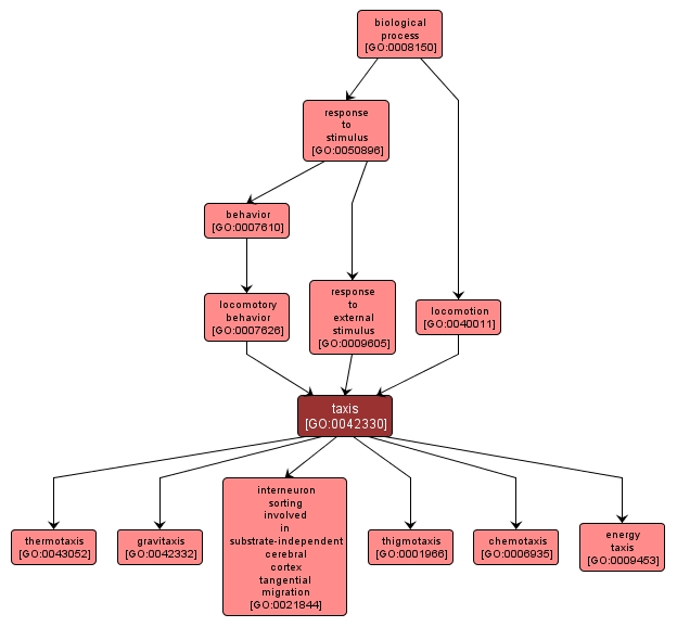 GO:0042330 - taxis (interactive image map)