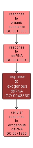 GO:0043330 - response to exogenous dsRNA (interactive image map)