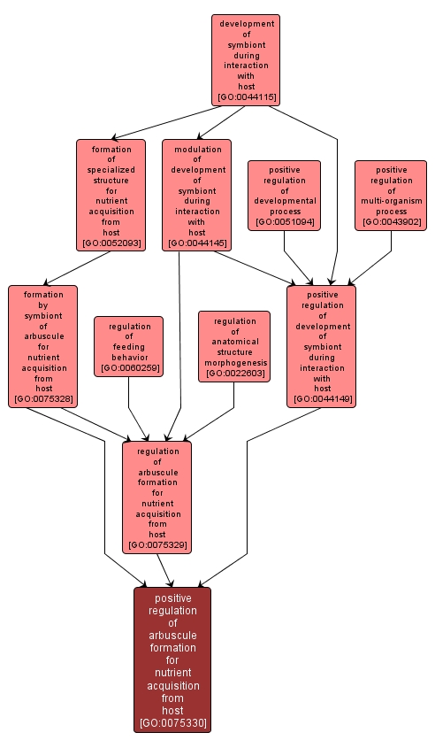 GO:0075330 - positive regulation of arbuscule formation for nutrient acquisition from host (interactive image map)
